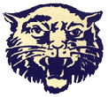 Hammond High School Wildcat