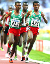 Bekele Gebrselassie Sihine