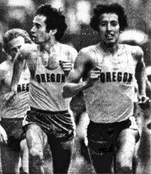 Salazar and Chapa 1981