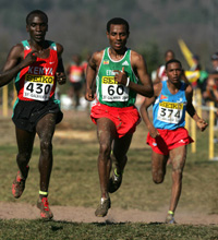 Kipchoge Bekele Tadese